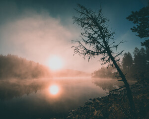 Misty morning at a lake in Norway during sunrise with fog.