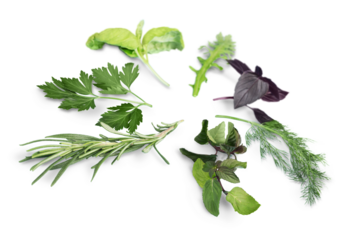 Circular arrangement of various herbs, isolated on white