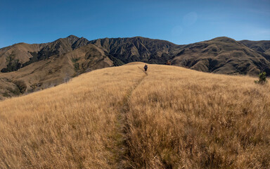 Hiking in New Zealand