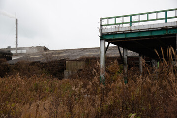 Abandoned Factory with Overgrown Grass
