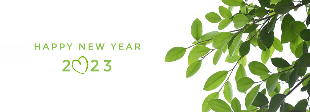 'HAPPY NEW YEAR 2023' in green color with ficus branches and leaves background, concept for greeting invitation card and happy new year 2023 concept. - Powered by Adobe