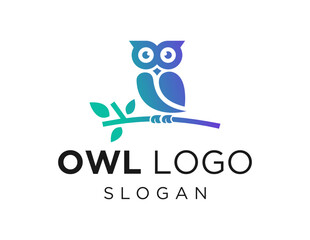 Logo design about Owl on a white background. made using the CorelDraw application.