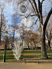 Obraz premium park in the city