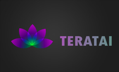 Colorful lotus logo | Minimalist logo