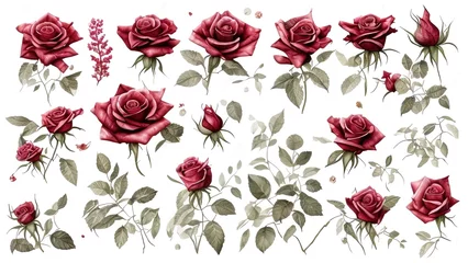  seamless background with roses © Bellarosa