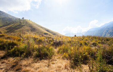 The beauty of Teletubbies Hill, a vast savanna landscape, one of the tourist destinations in the Bromo Tengger Semeru tourist area in East Java, Indonesia.