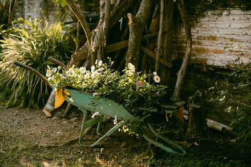 wheelbarrel with flowers