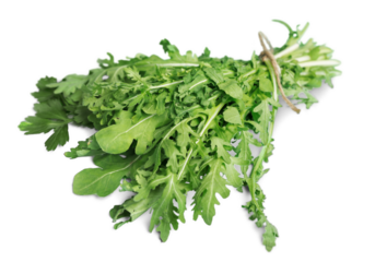 Fresh green bunch herbs collection