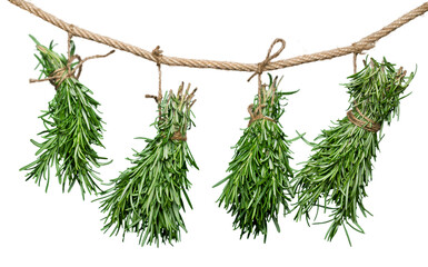 Fresh green bunch herbs collection hanging - Powered by Adobe