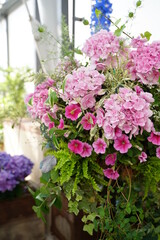 フラワーアレンジメント、紫陽花、あじさい、アジサイ、銀座、ファンケル、ガーデン、花、植物、カラフル、カラー、ブルー、紫、ピンク、6月、春、日本、東京、自然、綺麗、美しい、可愛い、かわいい、アレンジメント、ブーケ、デコレーション、装飾、らしんばん、羅針盤、サンルーム、ガーデン、庭、温室、屋上、庭園、庭、