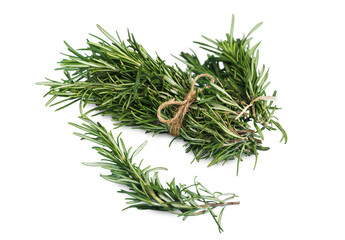Fresh green aroma rosemary leaves