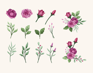 beauty purple violet rose flower blossom watercolor set element suitable for wedding romance vintage