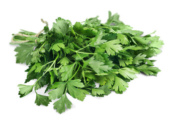 Fresh green bunch herbs collection - obrazy, fototapety, plakaty