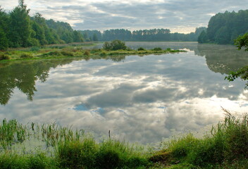 Forest lake on a summer morning. Moscow region. Russia