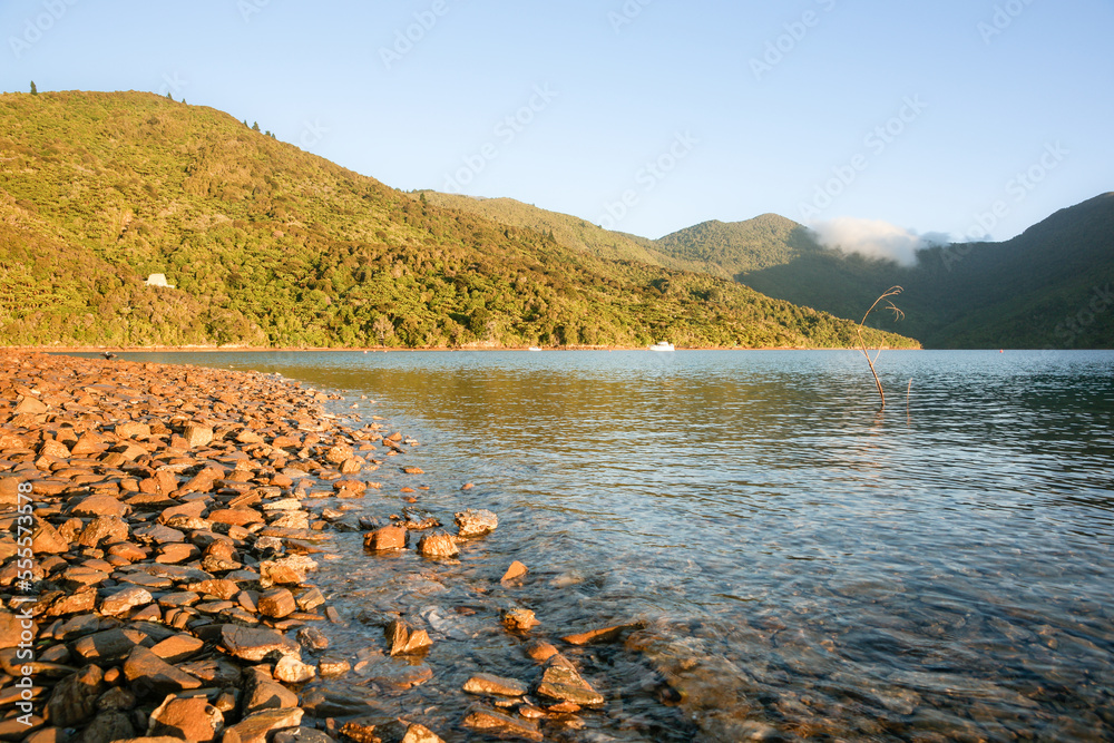 Sticker Stony foreshore in Marlborough Sounds bay at sunrise.