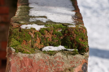 Moss and snow on old bricks Moscow region. Russia