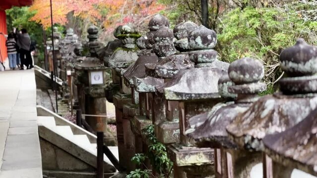 Row of Japanese Laterns Scultpures in Nara, Japan