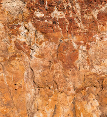 Sedimentary rocks with a high content of iron oxide. Red soil, loam. The texture of the soil.