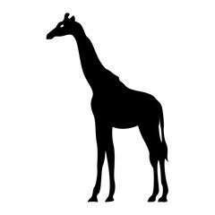 giraffe silhouette