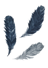 Feather watercolor painting on white background. Blue flying graphic elements hand draw.