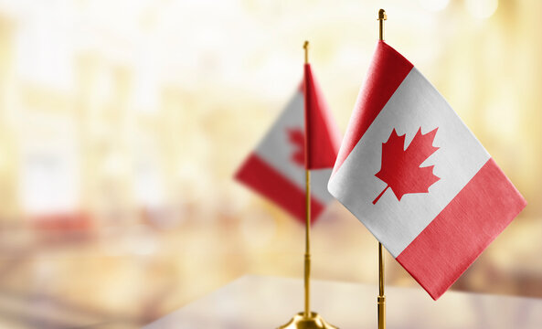 Small flags of the Canada on an abstract blurry background
