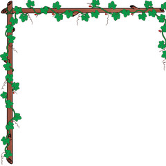 It is a picture of the gourd tree.