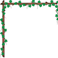 Obraz premium It is a picture of the gourd tree.