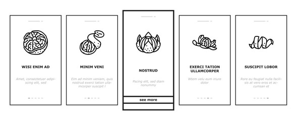 mandarin clementine orange fruit onboarding mobile vector. tangerine citrus, fresh food, organic sweet green leaf, healthy juice tropical slice mandarin clementine orange fruit Illustration