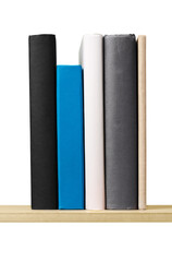 Naklejka premium Blank row of study colored books