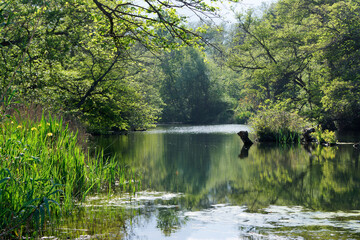 Bucatoggio river in easter plain of Corsica island