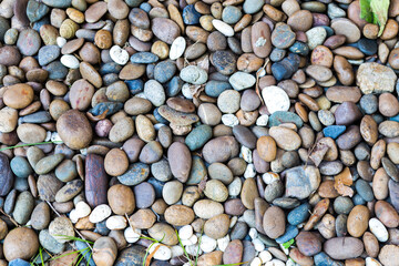 Natural pebble background, color stone background
