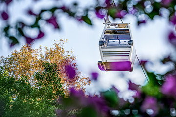 Cable car cab on background of sky, flowers, and plants, close-up