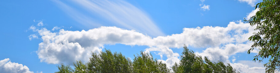 Cloudy landscape - blue sky and white clouds, trees with green foliage, panorama