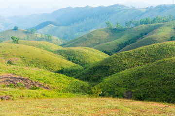 View of vagamon meadows