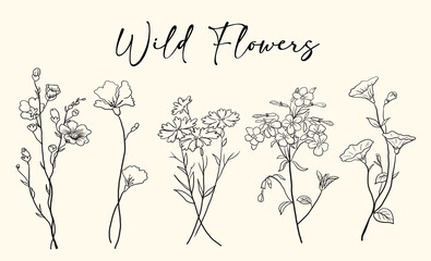 Hand drawn wild flowers