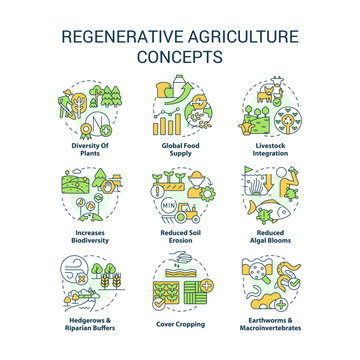Regenerative agriculture concept icons set. Gardening and farming approach idea thin line color illustrations. Isolated symbols. Editable stroke. Roboto-Medium, Myriad Pro-Bold fonts used