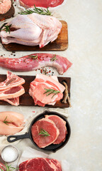 Assortment of raw meats on grey background.