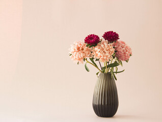 Bouquet of fresh asters flowers in glass vase. Colored garden flowers on  pink  background.