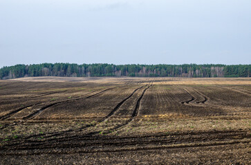 Fototapeta na wymiar Plowed field and treated with pesticides against weeds.
