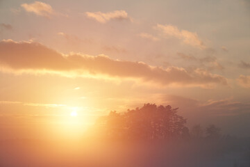 Fototapeta na wymiar Misty sunrise in the rural field. Foggy orange sunset. Fresh and sustainable future concept.