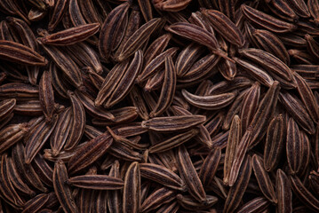 Still life with caraway seeds in close up macro detail. Brown seeds known from daily routine in kitchen shows details of theirs surface structure which are not visible with naked eyes.