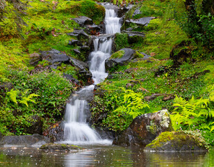 Kleiner Bach mit Wasserfall im botanischen Garten,Terra Nostra Park,Furnas,Insel Sao Miguel,Azoren,Portugal,