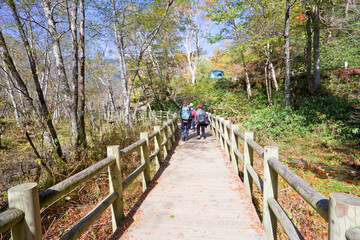Kamikochi nature trails in autumn, Nagano prefecture, Japan