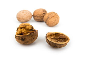 Open walnut in the shell on a white background