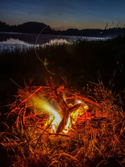 campfire in the forest