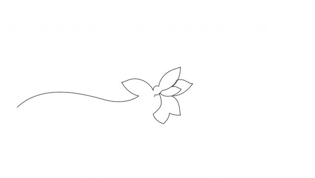 Self drawing animation of one line drawing lotus flower. Continuous line drawing. Full length motion.