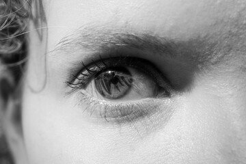 Nahaufnahme eines direkt in die Kamera blickenden Auges