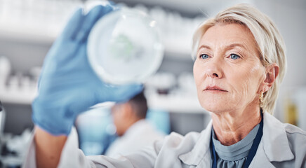 Science, research and sample with a doctor woman at work in a biological lab for innovation or...