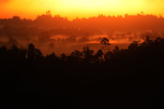 Sunrise over the rainforest in Borneo