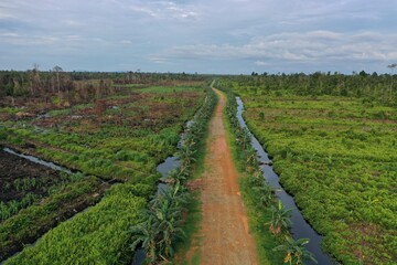 Fototapeta na wymiar Road through drained and burned peat lands leading to a forest concession